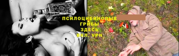 крисы Зерноград
