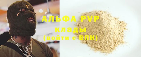 крисы Алзамай