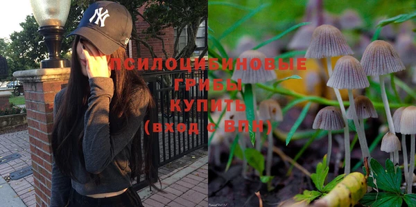 мет Заводоуковск